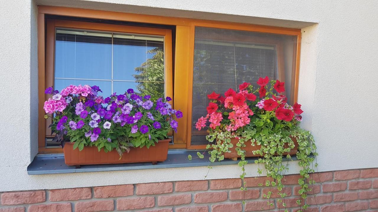 Hotel Privat Nika Závažná Poruba Exterior foto